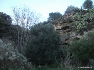 stellaccio20-11-2016 16-51-05